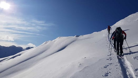 Niederjochkogel 2.146 m (Skitour) Niederjochkogel 6