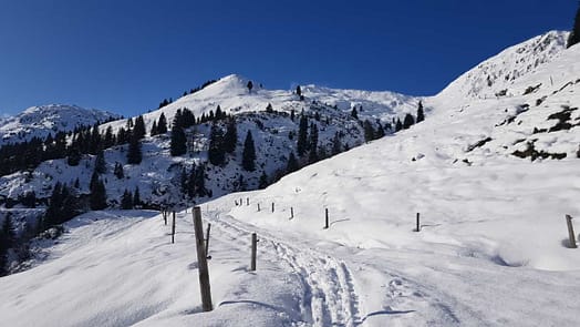 Niederjochkogel 2.146 m (Skitour) Niederjochkogel 8