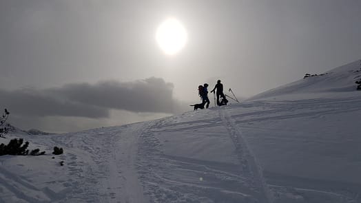 Schneegrubenspitze 2.237 m (Skitour) Schneegrubenspitze