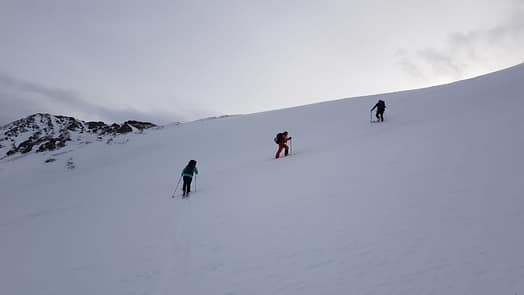 Tristkopf 2.361 m & Aleitenspitze 2.449 m (Skitour) Tristkopf