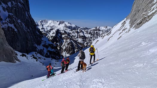 Goinger Törl 2.085 m (Skitour) WhatsApp Image 2020 03 15 at 17.00.21 1