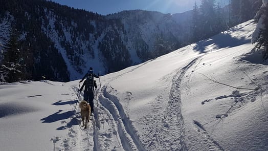 Laila Pass, Mestia (Skitour) Laila Pass 12