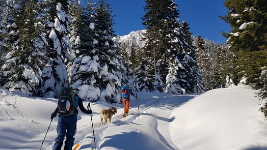 Laila Pass, Mestia (Skitour) Laila Pass 13