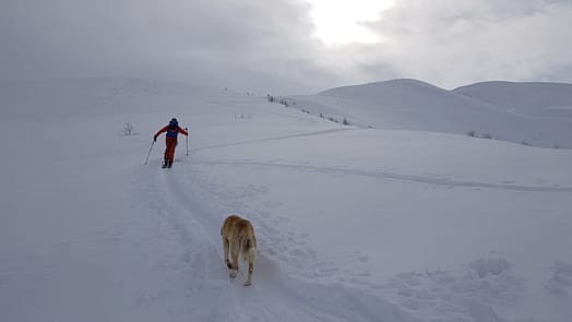 Ushguli (Skitour) Ushguli 17