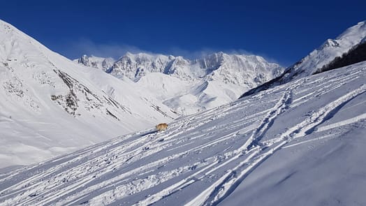 Ushguli Hausberg (Skitour) ushguli Hausberg 12