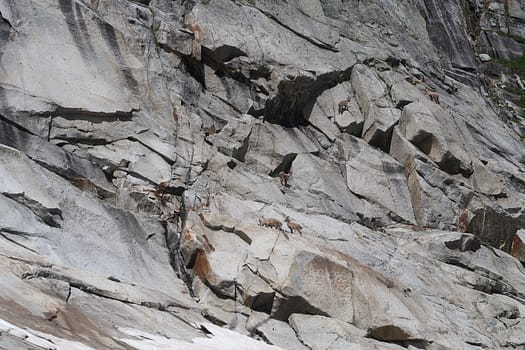 Turnerkamp 3.420 m und Rossruggspitze 3.298 m (Hochtour) Versuch WhatsApp Image 2022 07 04 at 09.23.15 2