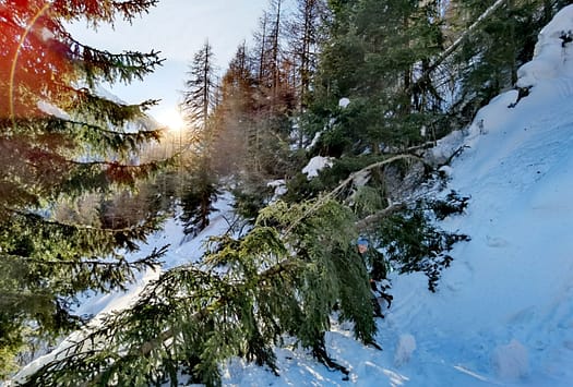 Kreuzspitze 2.624 m (Skitour) Kreuzspitze Skitour 5