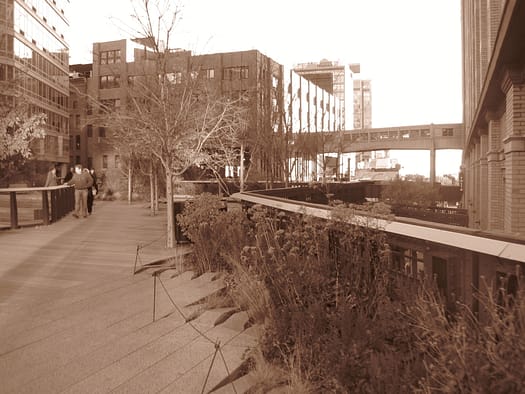 New York City High Line New York High Line
