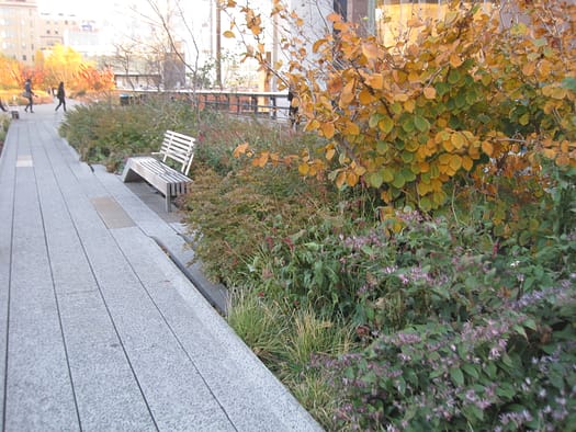 New York City High Line New York High Line
