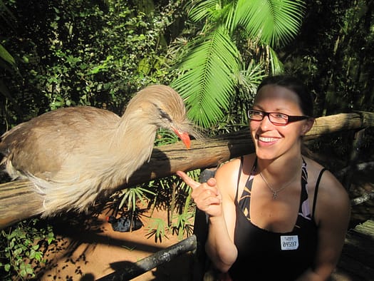 Vogelpark Parque das Aves Parque das Aves