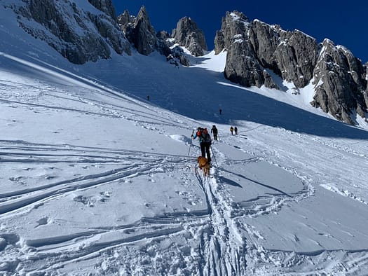 Goinger Törl 2.085 m (Skitour) WhatsApp Image 2020 03 15 at 15.31.26