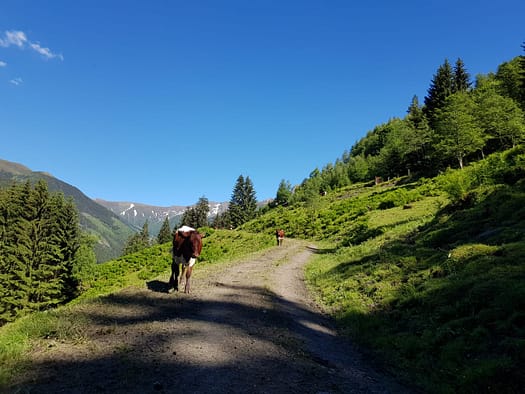 Heuwandspitze 2.088 m (Wanderung) Heuwandspitze 17