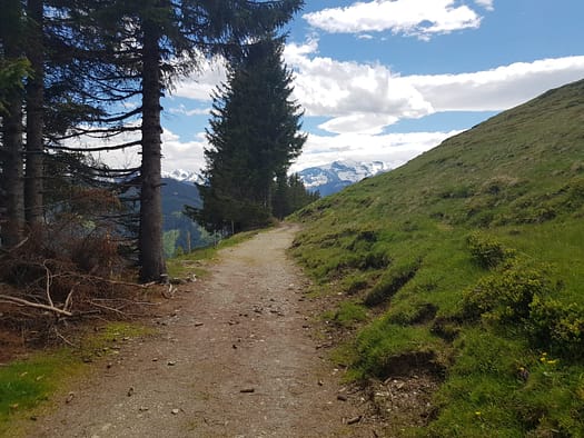 Schwalbenwand 1.979 m (Wanderung) Schwalbenwand 2
