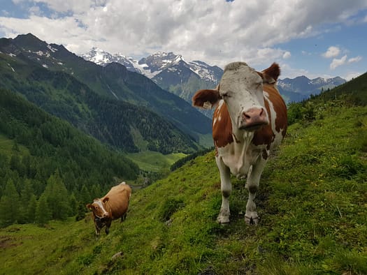 Breitebenkopf 2.236 m (Wanderung) Breitebenkopf 6