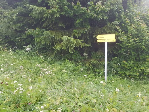 Daniel 2.340 m, Upsspitze 2.332 m, Hochschrutte 2.247 m (Wanderung) Daniel Hochschrutte Upsspitze 1