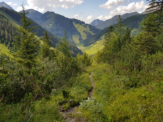 Gartnerwand 2.377 m, Bleispitze 2.225 m, Grubigstein 2.222 m (Wanderung) Gartnerwand Westrat 1