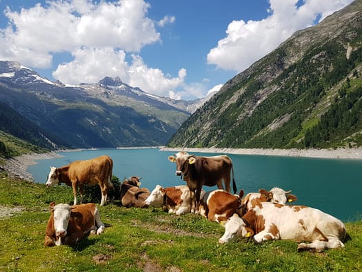Großer Möseler 3.480 m (Hochtour) Großer Möseler 8