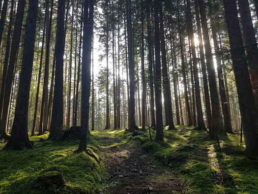 Öfelekopf 2.478 m (Wanderung) Oefelekopf 1