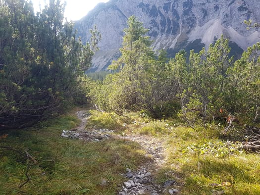 Öfelekopf 2.478 m (Wanderung) Oefelekopf 17