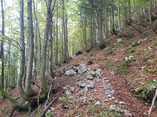 Öfelekopf 2.478 m (Wanderung) Oefelekopf 2