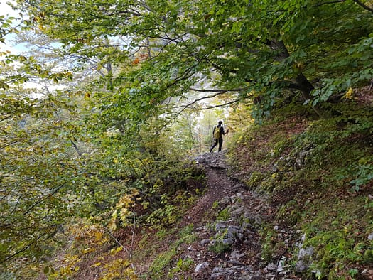 Öfelekopf 2.478 m (Wanderung) Oefelekopf 3