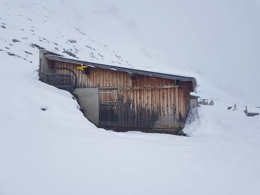 Pfaffenbichl 2.431 m (Skitour) Pfaffenbichl 26