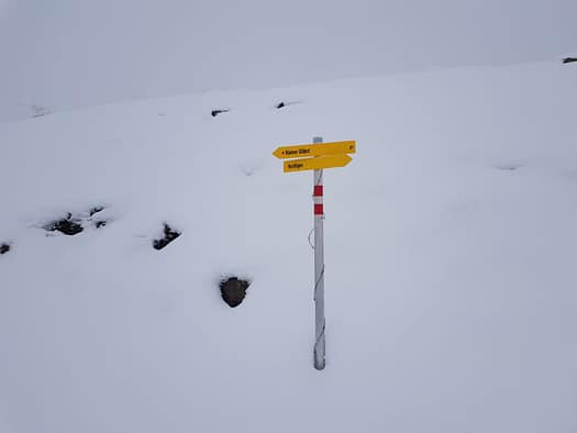 Pfaffenbichl 2.431 m (Skitour) Pfaffenbichl 33