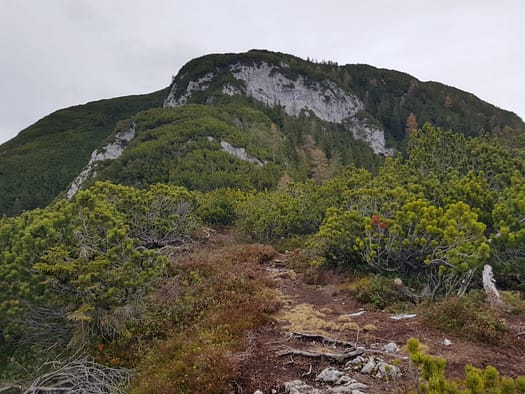 Arnplattenspitze 2.171 m (Wanderung) Arnplattenspitze 12