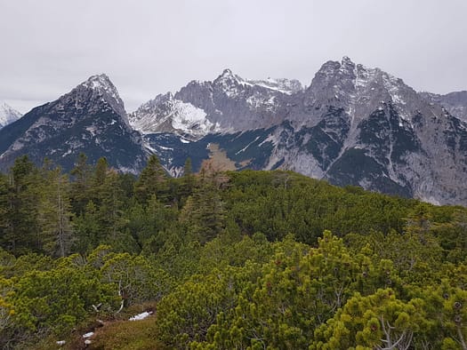 Arnplattenspitze 2.171 m (Wanderung) Arnplattenspitze 13
