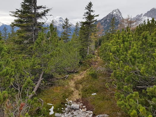 Arnplattenspitze 2.171 m (Wanderung) Arnplattenspitze 14