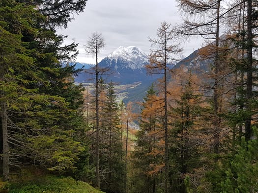 Arnplattenspitze 2.171 m (Wanderung) Arnplattenspitze 15
