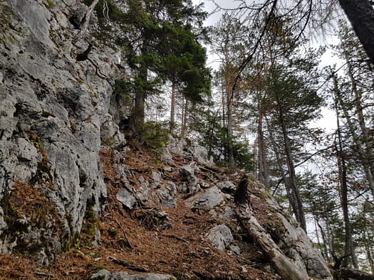 Arnplattenspitze 2.171 m (Wanderung) Arnplattenspitze 16