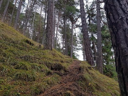 Arnplattenspitze 2.171 m (Wanderung) Arnplattenspitze 17