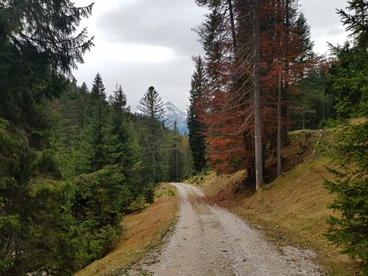 Arnplattenspitze 2.171 m (Wanderung) Arnplattenspitze 2