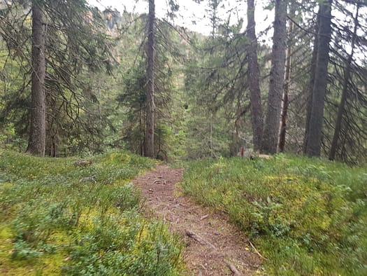 Arnplattenspitze 2.171 m (Wanderung) Arnplattenspitze 4