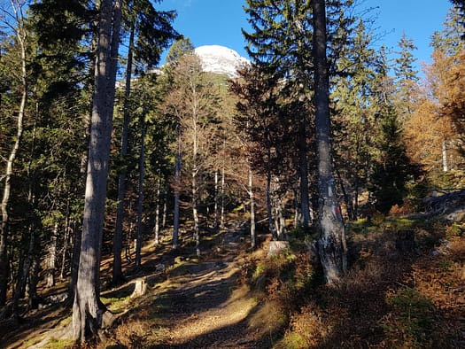 Hohe Munde 2.662 m (Wanderung) Hohe Munde 17