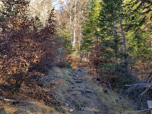 Hohe Munde 2.662 m (Wanderung) Hohe Munde 18