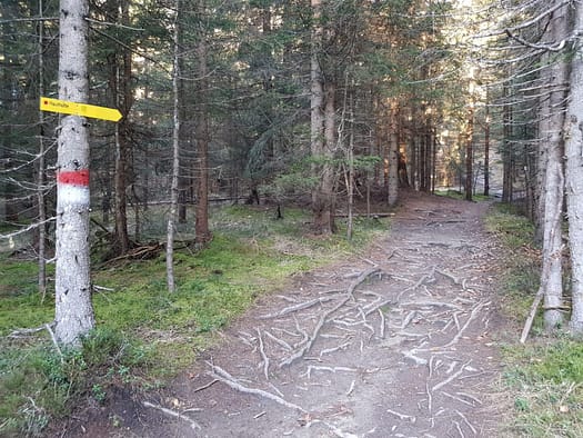 Hohe Munde 2.662 m (Wanderung) Hohe Munde 19