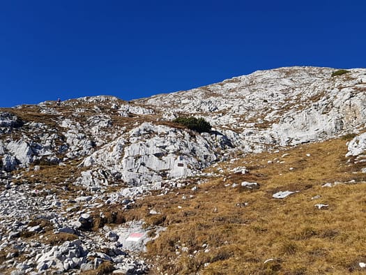 Hohe Munde 2.662 m (Wanderung) Hohe Munde 6