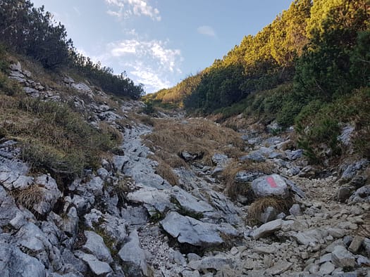 Hohe Munde 2.662 m (Wanderung) Hohe Munde 9