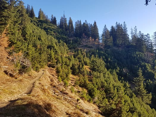 Hundskopf bis Hohe Fürleg 2.571 m (Gratwanderung) Hundskopf 8