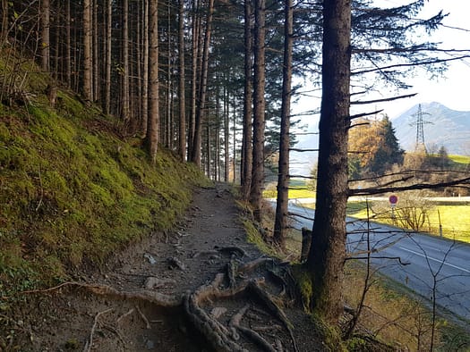 Patscherkofel 2.246 m (Wanderung) Patscherkofel 1