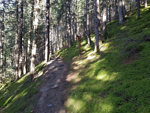 Patscherkofel 2.246 m (Wanderung) Patscherkofel 13