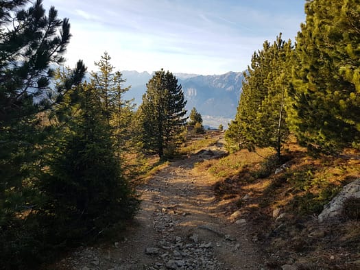 Patscherkofel 2.246 m (Wanderung) Patscherkofel 2