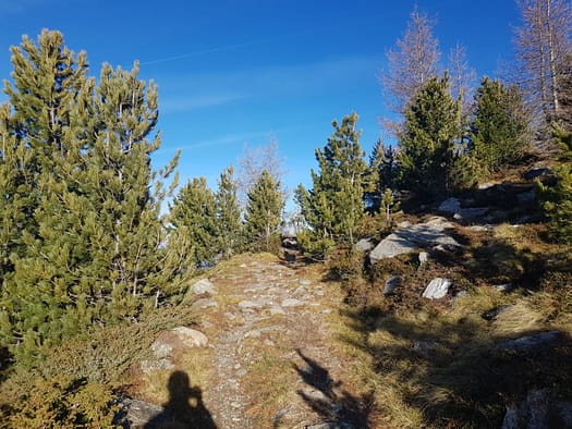 Patscherkofel 2.246 m (Wanderung) Patscherkofel 8