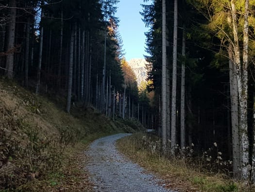 Rappenspitze 2.223 m (Wanderung) Rappenspitze 1