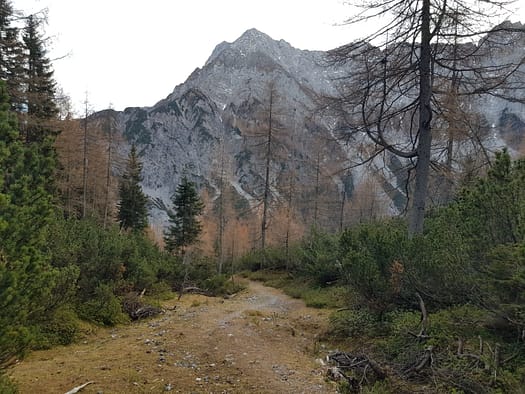 Rappenspitze 2.223 m (Wanderung) Rappenspitze 16