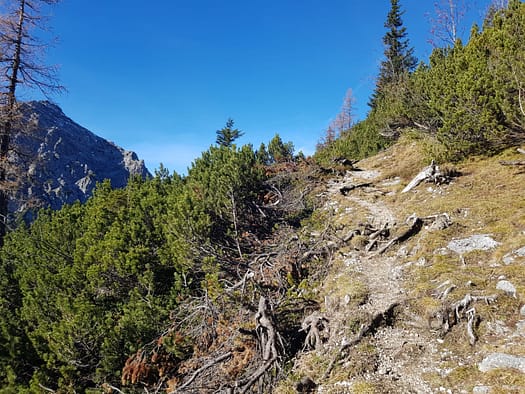 Rappenspitze 2.223 m (Wanderung) Rappenspitze 36