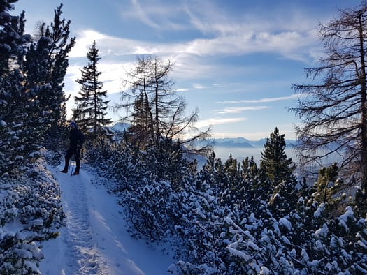 Reither Spitze 2.374 m (Wanderung) Reither Spitze 2