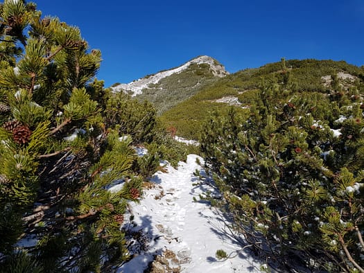 Reither Spitze 2.374 m (Wanderung) Reither Spitze 26